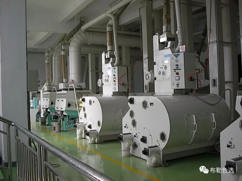 布勒光电色选 携手同行十年，以精准信赖跨越行业周期